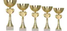 komplet-5-zlotych-pucharow-1-5-miejsce-32-29-28-25-24cm-opis-emblemat-metal