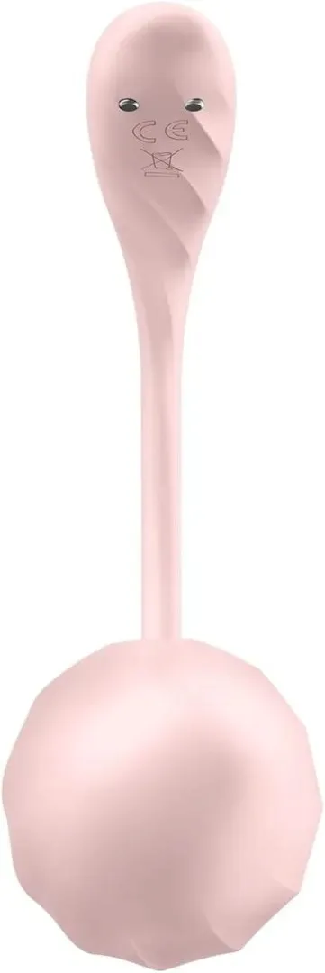 ribbed-petal-rose-connect-app-stan-nowy