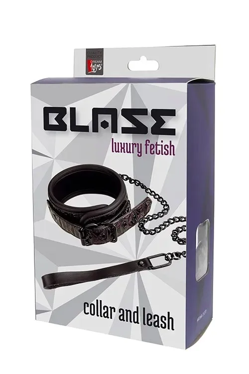 blaze-collar-and-leash-purple