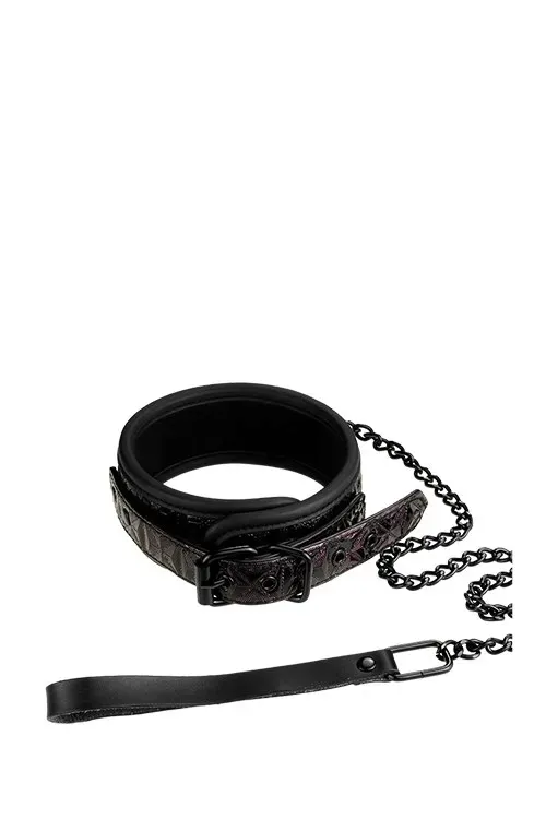 blaze-collar-and-leash-purple