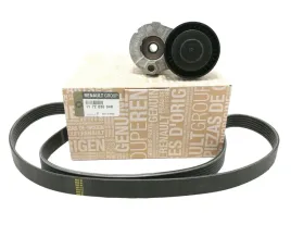 oryg-zestaw-paska-klinowego-clio-iii-modus-1-5-dci-117203694r