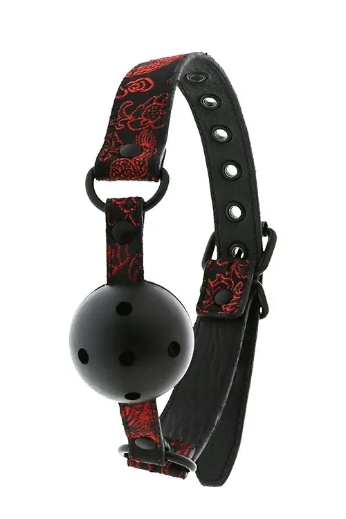 blaze-deluxe-breathable-ball-gag