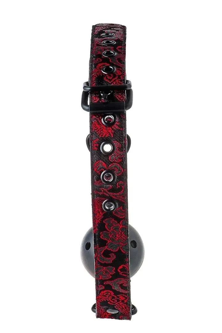blaze-deluxe-breathable-ball-gag