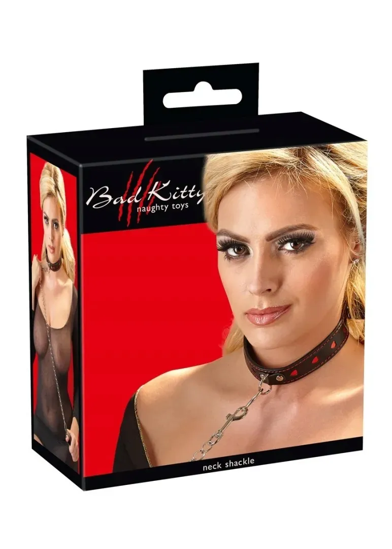 collar-and-leash
