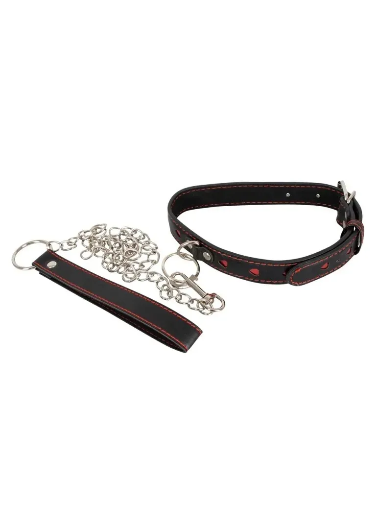 collar-and-leash