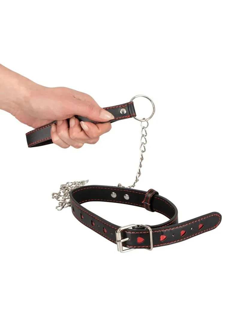 collar-and-leash