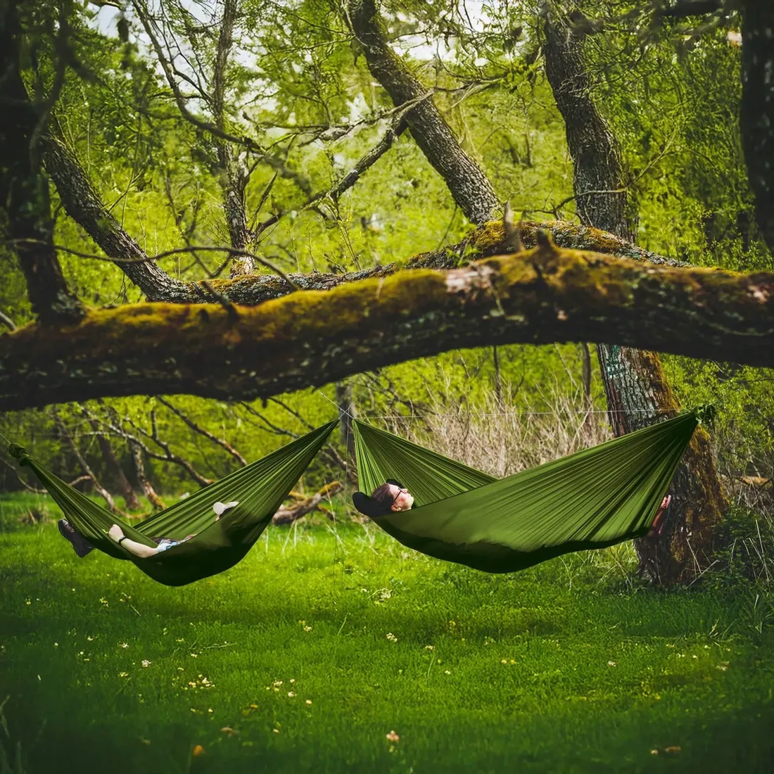 hamak-lesovik-bystry-treetop-green-stan-nowy