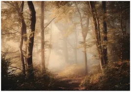 fototapeta-las-drzewa-natura-sypialnia-salon-tapeta-flizelina-400x280
