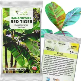 musa-sikkimensis-red-tiger-bananowiec-nasiona-do-ogrodu-5-swiezych-nasion