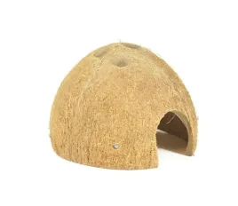 skorupa-kokosa-happet-nieszczotkowane-1szt