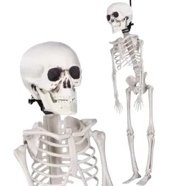 szkielet-czlowieka-sztuczny-kosciotrup-wiszacy-dekoracja-na-halloween-40cm
