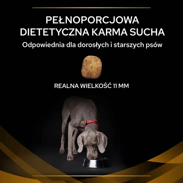 purina-pro-plan-veterinary-diets-nf-renal-function-12kg-pro-plan-veterinary-rodzaj-karmy-hipoalergiczna