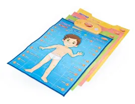 dumel-plakaty-edukacyjne-cialo-czlowieka-4-szt