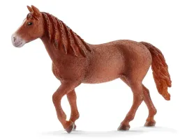schleich-klacz-rasy-morgan-13870
