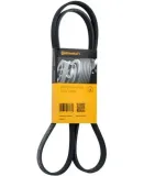 pasek-wzdl-conti-typ-silnika-benzyna-diesel