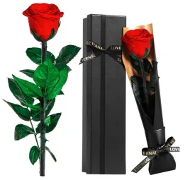 zachowana-wieczna-roza-czerwony-kwiat-swiateczny-prezent-kobieta-walentynki