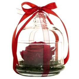 ekskluzywna-wieczna-roza-xl-w-szkle-las-w-szkle