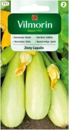 dynia-cukinia-kabaczek-zloty-cepelin-5-g-zolty-plenny-nasiona-vilmorin