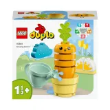 lego-duplo-rosnaca-marchewka-10981-stan-nowy