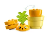 lego-duplo-rosnaca-marchewka-10981-bohater-brak