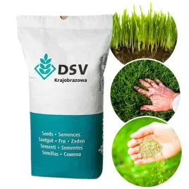 nasiona-trawa-dsv-na-tereny-suche-bez-nawodnienia-skarpy-landscaping-10-kg