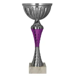 puchar-srebrny-trofeum-nagroda-turniej-sport-nadruk-265-cm