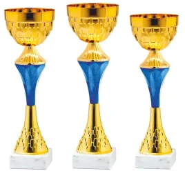 komplet-zestaw-pucharow-nagroda-turniej-konkurs-zawody-nadruk-28-32-cm