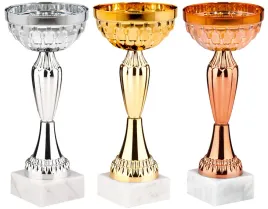 komplet-zestaw-pucharow-nagroda-turniej-konkurs-zawody-nadruk-26-cm