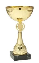 puchar-trofeum-nagroda-konkurs-21-cm-grawer