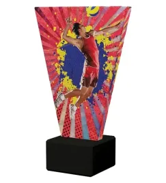 statuetka-szklana-siatkowka-nagroda-225cm-nadruk