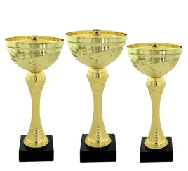 komplet-zestaw-pucharow-nagroda-turniej-konkurs-zawody-nadruk-235-29-cm