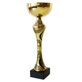 puchar-zloty-trofeum-nagroda-turniej-sport-konkurs-nadruk-29-cm