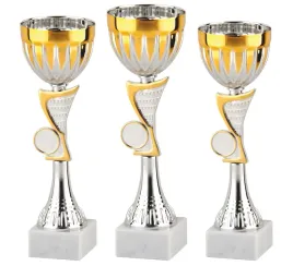 komplet-zestaw-pucharow-nagroda-turniej-konkurs-zawody-nadruk-27-23-cm