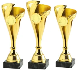 komplet-zestaw-pucharow-nagroda-turniej-konkurs-zawody-nadruk-20-23-cm