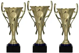 komplet-zestaw-pucharow-nagroda-turniej-konkurs-zawody-nadruk-22-24-cm