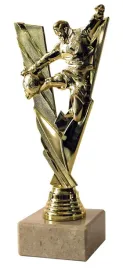 statuetka-pilka-nozna-pilkarz-22-cm-grawer-m1