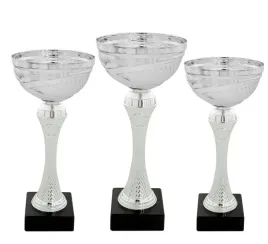 komplet-zestaw-pucharow-nagroda-turniej-konkurs-zawody-nadruk-26-305-cm