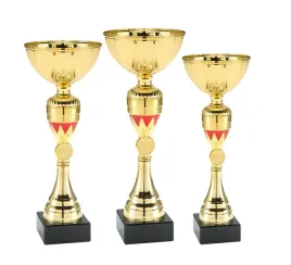 komplet-zestaw-pucharow-nagroda-turniej-konkurs-zawody-nadruk-26-32-cm