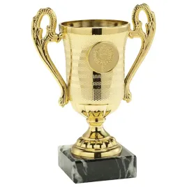 puchar-zloty-trofeum-nagroda-sport-grawer-235cm