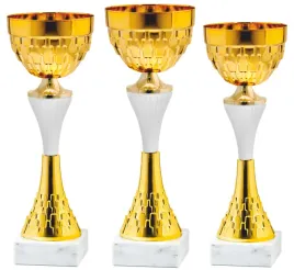 komplet-zestaw-pucharow-nagroda-turniej-konkurs-zawody-nadruk-26-31-cm
