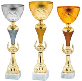 komplet-zestaw-pucharow-nagroda-turniej-konkurs-zawody-nadruk-39-41-cm