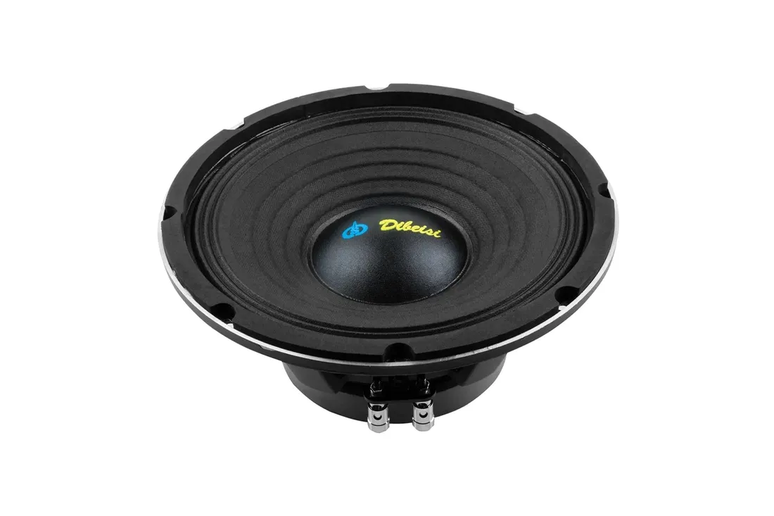 glosnik-dibeisi-10-cali-model-dbs-ps1005-8