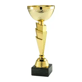 puchar-zloty-trofeum-nagroda-turniej-sport-konkurs-nadruk-25-cm