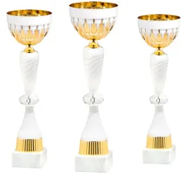komplet-zestaw-pucharow-nagroda-zawody-32-36-cm-nadruk