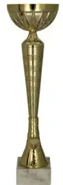 puchar-zloty-trofeum-nagroda-turniej-sport-konkurs-nadruk-42-cm