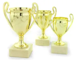 komplet-zestaw-pucharow-nagroda-turniej-konkurs-zawody-nadruk-155-20-cm