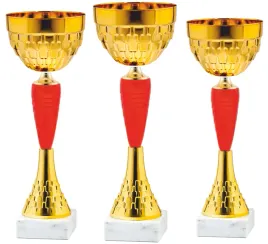 komplet-zestaw-pucharow-nagroda-turniej-konkurs-zawody-nadruk-29-35-cm