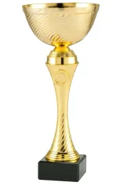 puchar-trofeum-nagroda-konkurs-31-cm-nadruk