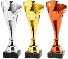 komplet-zestaw-pucharow-nagroda-turniej-konkurs-zawody-nadruk-20-cm