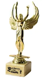 statuetka-wiktoria-slub-podziekowania-za-najlepsza-role-szwagra-poz116